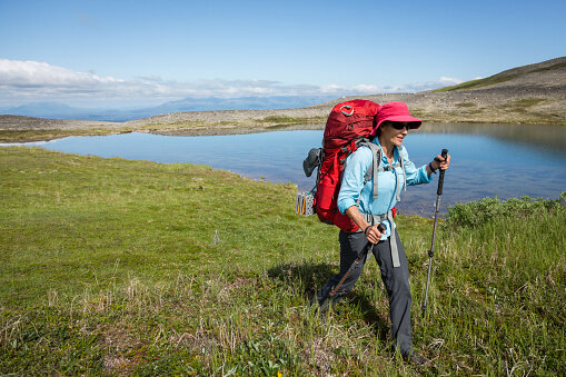 Summer hiking in talkeetna